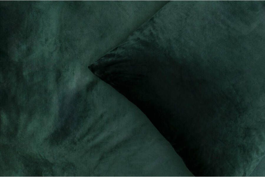 Leen Bakker Royal dekbedovertrek Elina effen groen 200x200 220 cm - Foto 1
