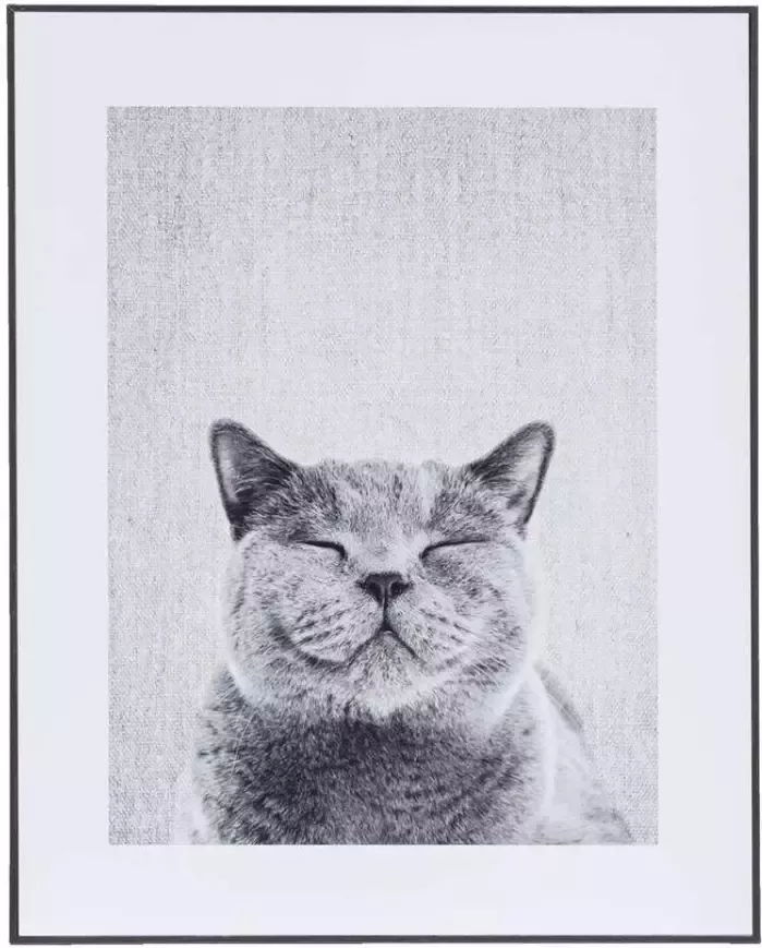 Leen Bakker Schilderij Knuffelige Kat zwart wit grijs 40x50 cm