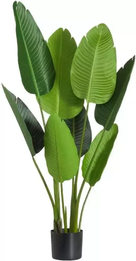 Leen Bakker Strelitzia tak groen 116 cm - Foto 1