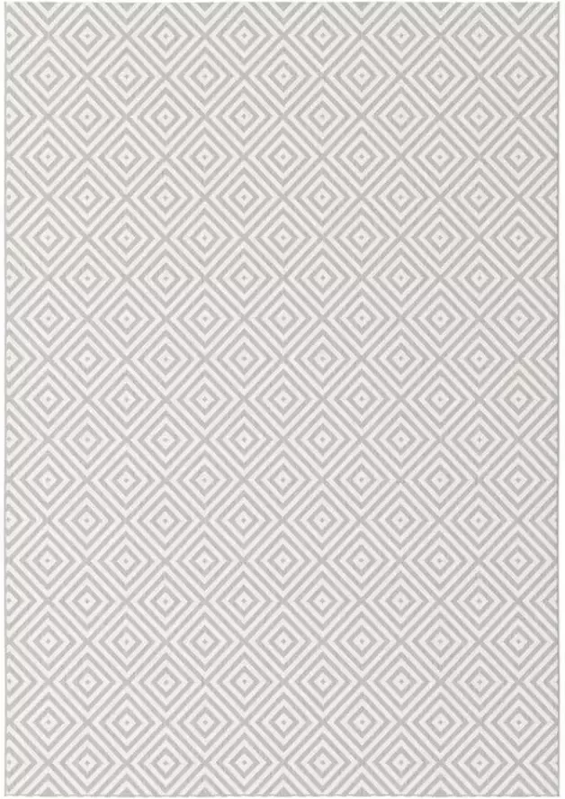 Leen Bakker Vloerkleed Alexio grijs 160x230 cm