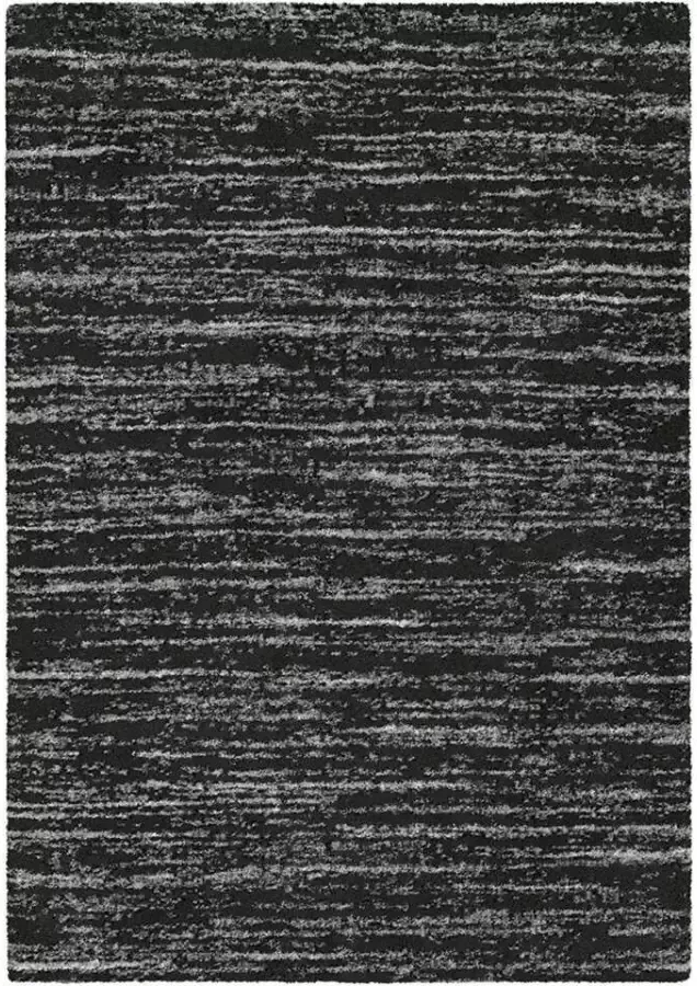 Leen Bakker Vloerkleed Caledon zwart 200x290 cm