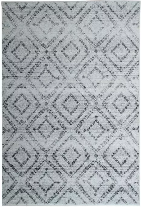 Leen Bakker Vloerkleed Florence blokken grijs 160x230 cm