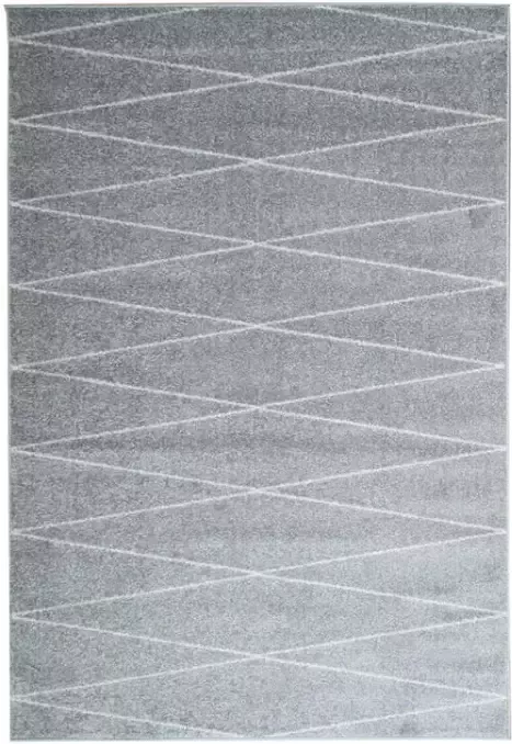 Leen Bakker Vloerkleed Florence etnisch grijs 160x230 cm - Foto 1
