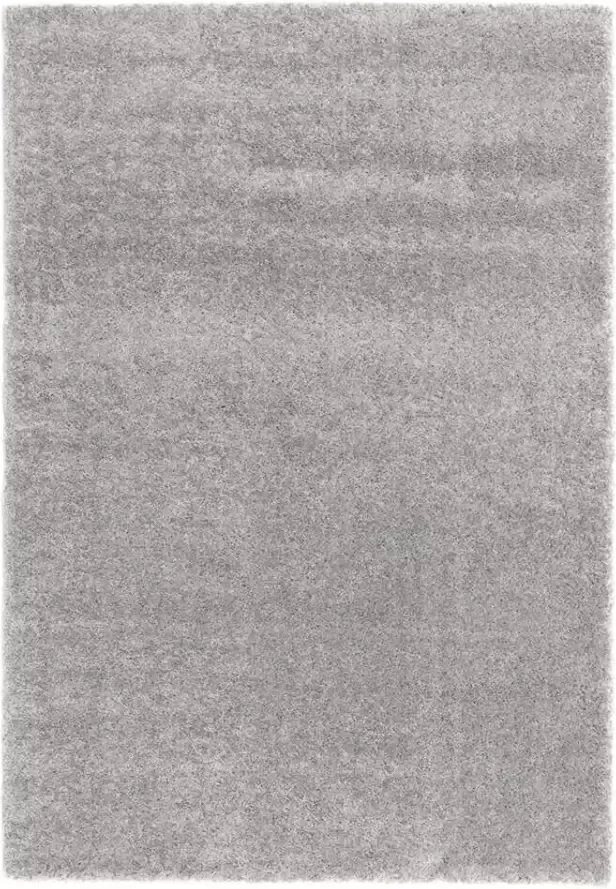 Leen Bakker Vloerkleed Haris grijs 120x170 cm