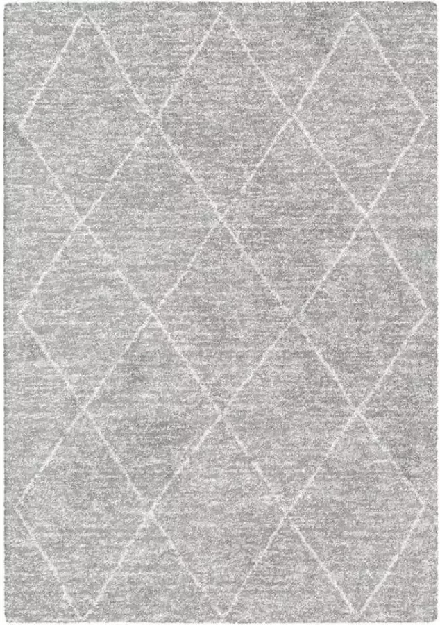 Leen Bakker Vloerkleed Lizzano grijs 160x230 cm