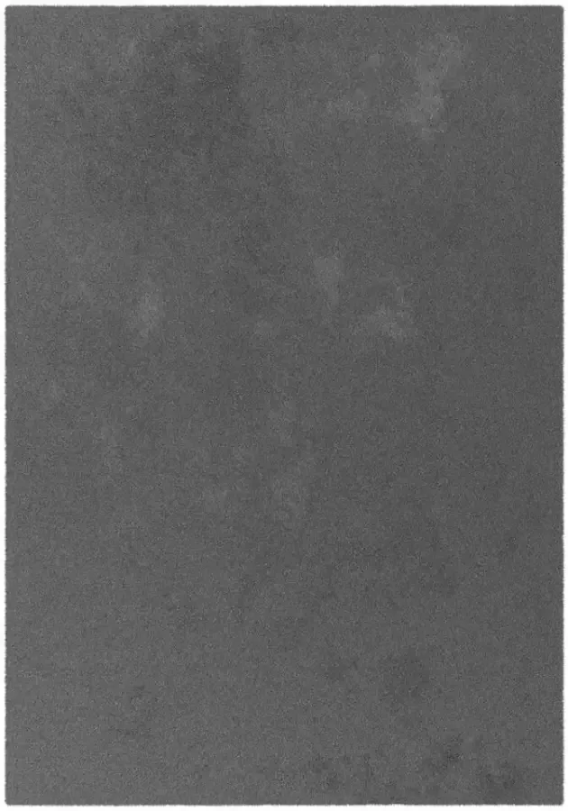 Leen Bakker Vloerkleed Moretta antraciet 120x170 cm - Foto 1