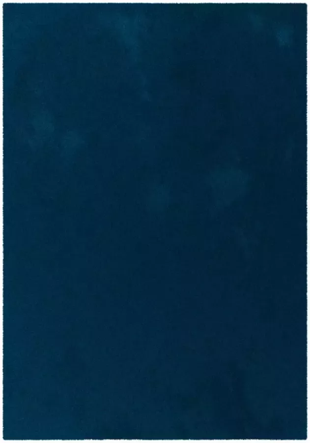 Leen Bakker Vloerkleed Moretta blauw 120x170 cm