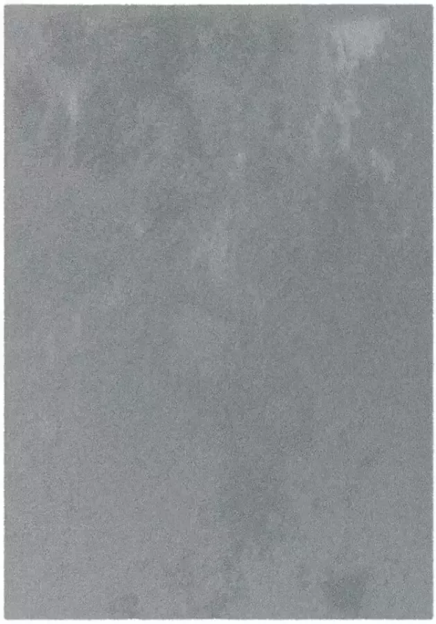 Leen Bakker Vloerkleed Moretta donkergrijs 120x170 cm
