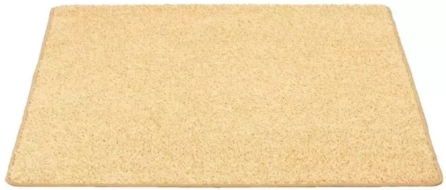 Leen Bakker Vloerkleed Sfinx beige 120x160 cm