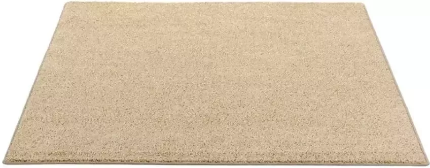 Leen Bakker Vloerkleed Sfinx beige 160x240 cm