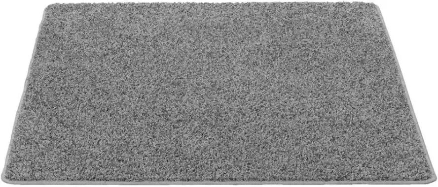Leen Bakker Vloerkleed Sfinx grijs 120x160 cm