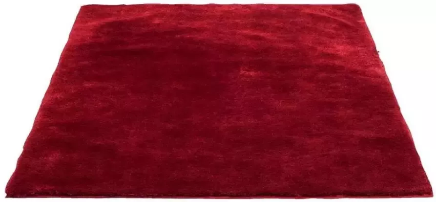 Leen Bakker Vloerkleed Tessa rood 160x230 cm