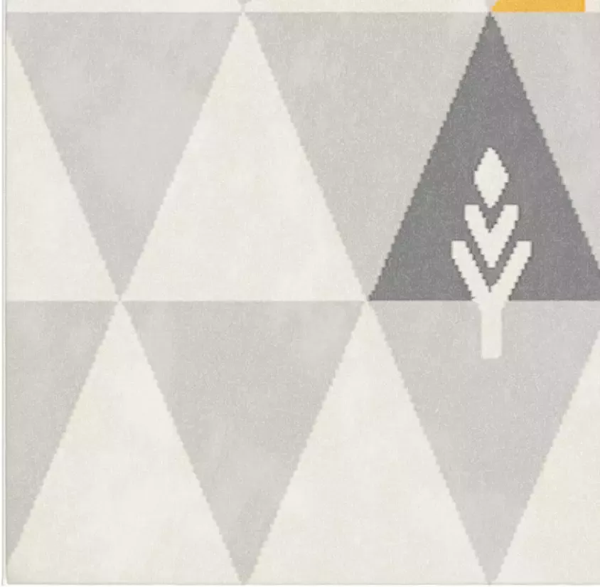 Leen Bakker Vloerkleed Tipi grijs 120x170 cm