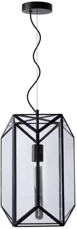 Lucide hanglamp Fern 2 zwart Leen Bakker