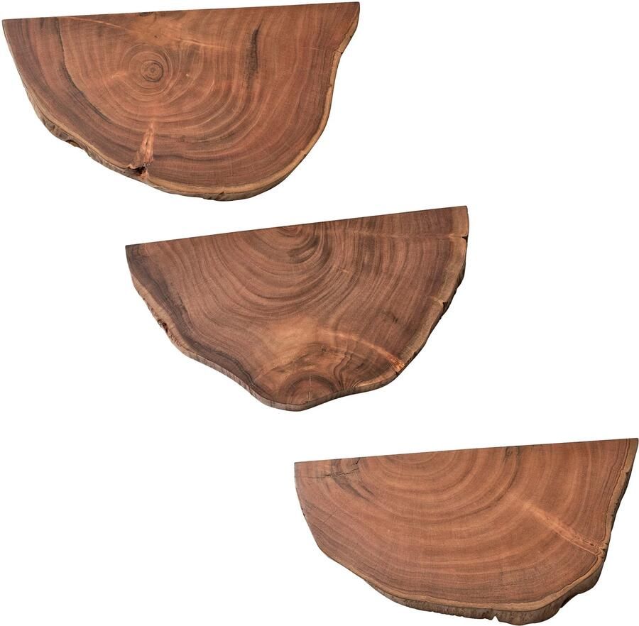 Wohnling Wandplanken Set van 3 Acacia Massief Houten Hangplanken Boomschijf | Natuurlijke plantentrap voor aan de muur | Zwevende plank hangend met boomrand | Bloemtrap boomstam modern