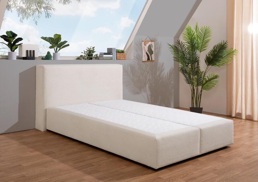 Andas Boxspring Åby In cord bekleding optioneel met en zonder matras verkrijgbaar - Foto 4