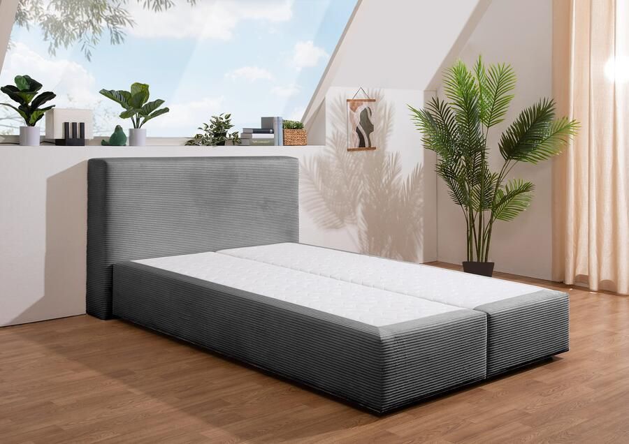 Andas Boxspring Åby In cord bekleding optioneel met en zonder matras verkrijgbaar - Foto 4