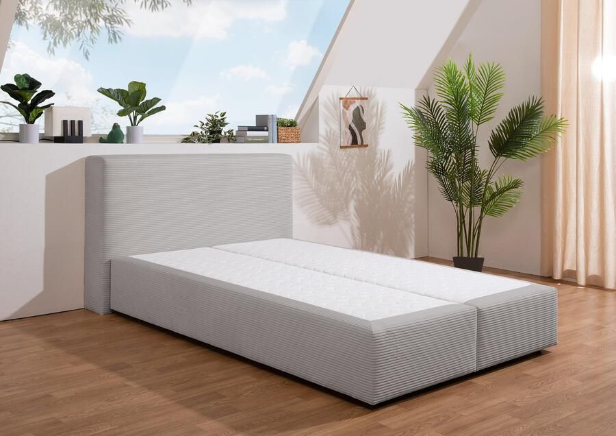 Andas Boxspring Åby In cord bekleding optioneel met en zonder matras verkrijgbaar - Foto 4