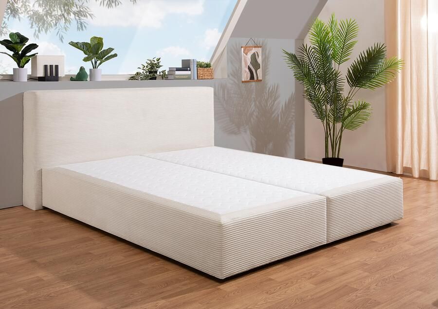 Andas Boxspring Åby In cord bekleding optioneel met en zonder matras verkrijgbaar - Foto 4