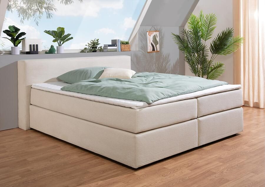 Andas Boxspring Åby In cord bekleding optioneel met en zonder matras verkrijgbaar - Foto 3