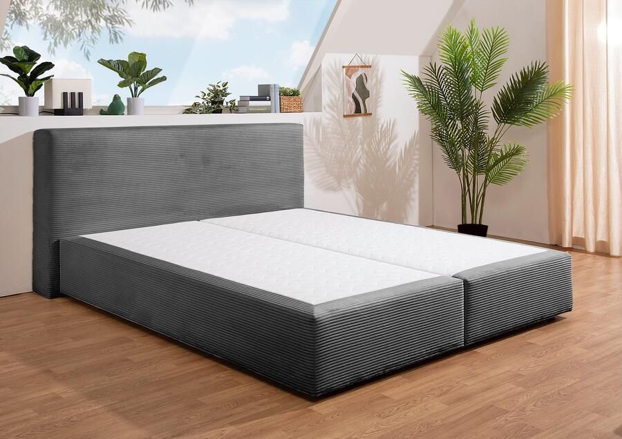 Andas Boxspring Åby In cord bekleding optioneel met en zonder matras verkrijgbaar - Foto 4