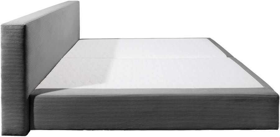 Andas Boxspring Åby In cord bekleding optioneel met en zonder matras verkrijgbaar - Foto 3