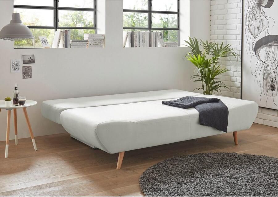 Andas Slaapbank Segmon simpel in een comfortabel te bed veranderen inclusief bedkist - Foto 3