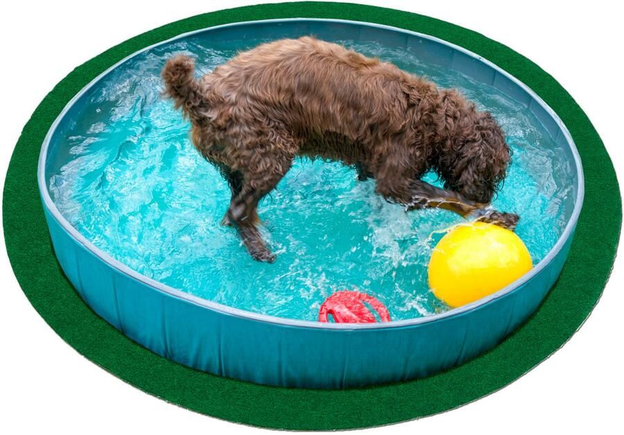 Andiamo Kunstgras Field Made in Belgium Gazontapijt van naaldvilt met noppen voor balkon & terras (1 stuk) - Foto 5