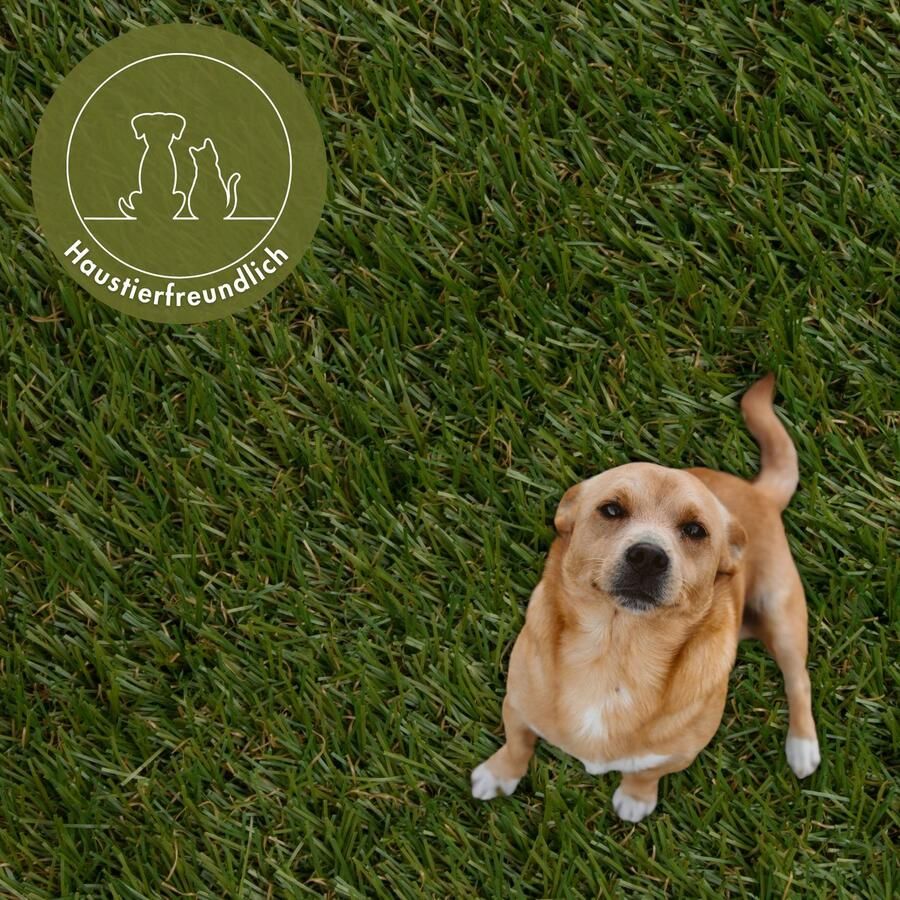 Andiamo Kunstgras Mallorca Made in Netherlands realistische uitstraling voor balkon tuin & terras waterdoorlatend