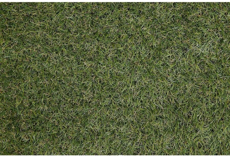 Andiamo Kunstgras Tappij Casablanca Made in Belgium realistische uitstraling met drainagefunctie duurzaam & uv-stabiel (1 stuk)