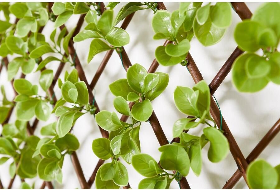 Andiamo Kunstheg met bescherming tegen inkijk Uitschuifbaar hek met kunstbladeren uitklapbare omheining met kunstklimop natuurlijke uitstraling privacybescherming - Foto 2