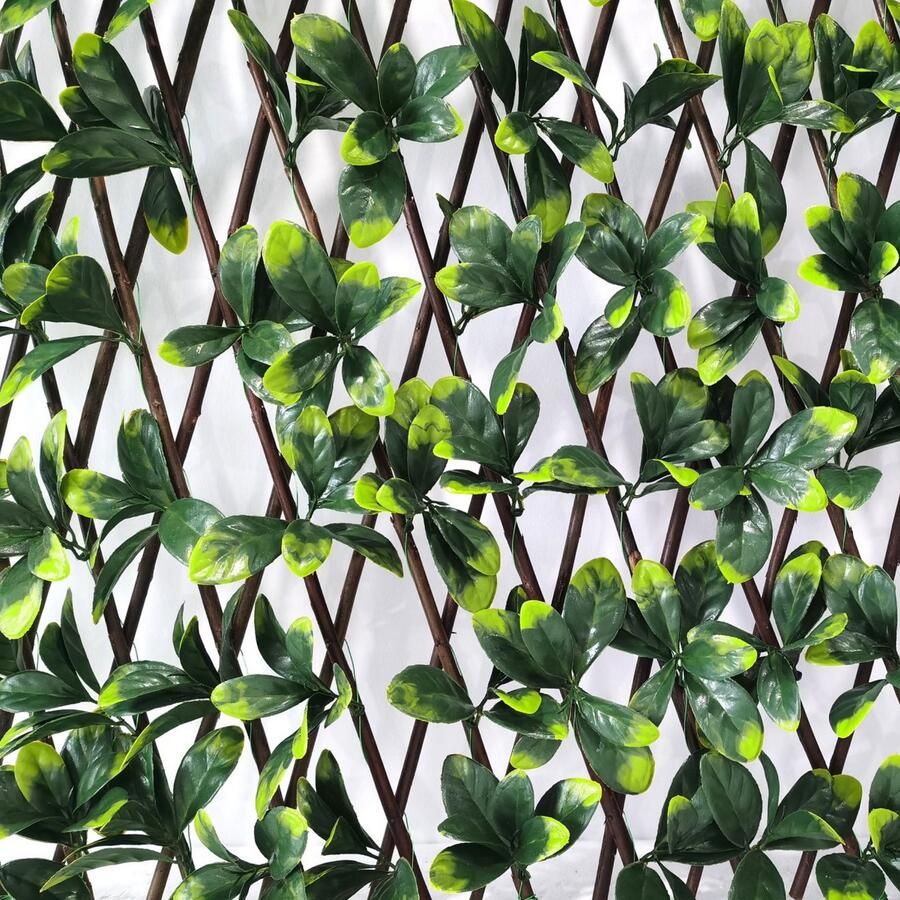 Andiamo Kunstheg met bescherming tegen inkijk Uitschuifbaar hek met kunstbladeren uitklapbare omheining met kunstklimop natuurlijke uitstraling privacybescherming - Foto 2