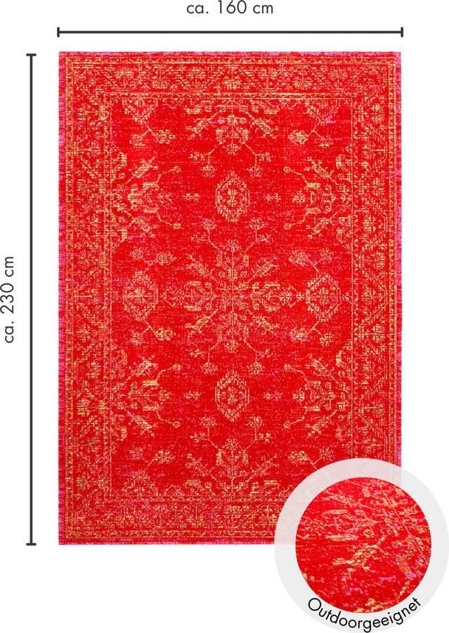 Andiamo Vloerkleed Colore verschillende ontwerpen geschikt voor binnen- en buitengebruik woonkamer - Foto 4