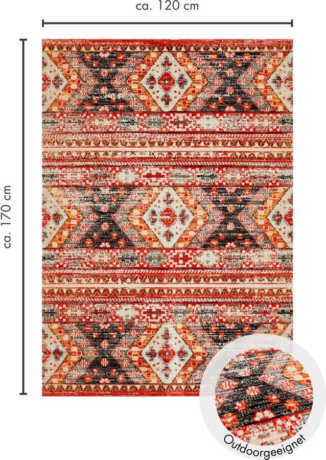 Andiamo Vloerkleed Colore verschillende ontwerpen geschikt voor binnen- en buitengebruik woonkamer - Foto 5