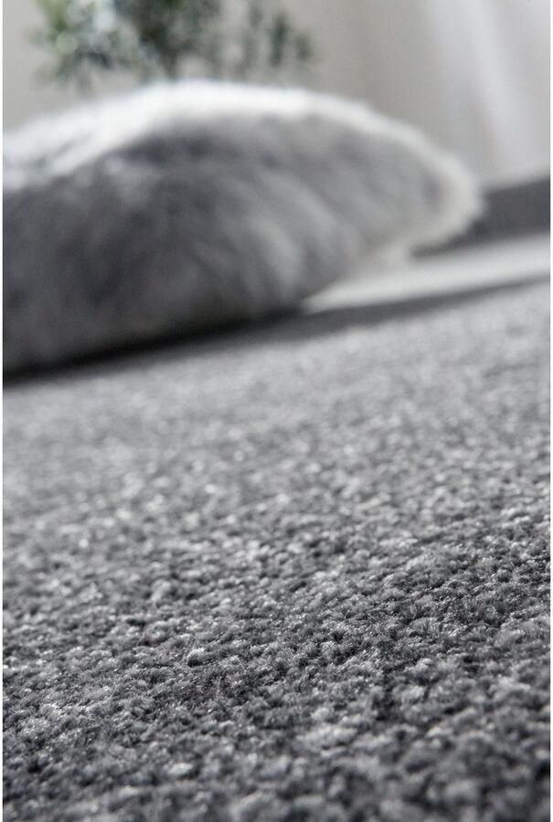 Andiamo Vloerkleed Sant Jordi Korte pool modern design met randdessin - Foto 4