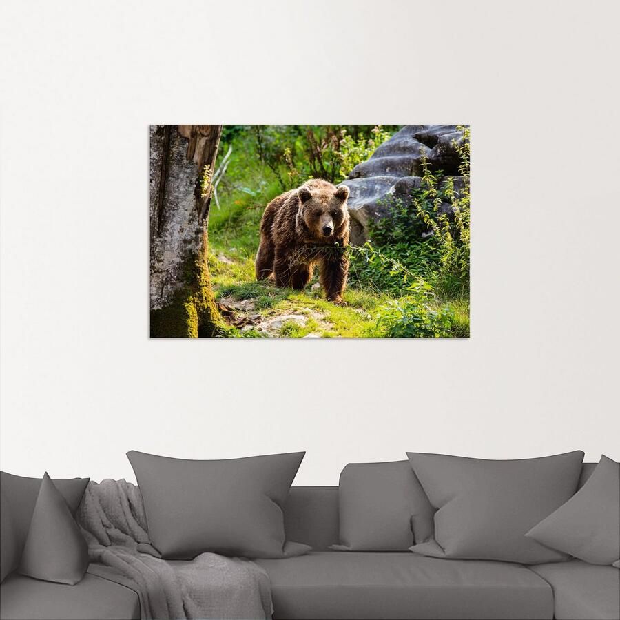 Artland Aluminium dibond print Bruine beer op wandeltocht geschikt voor binnen en buiten buitenafbeelding - Foto 2