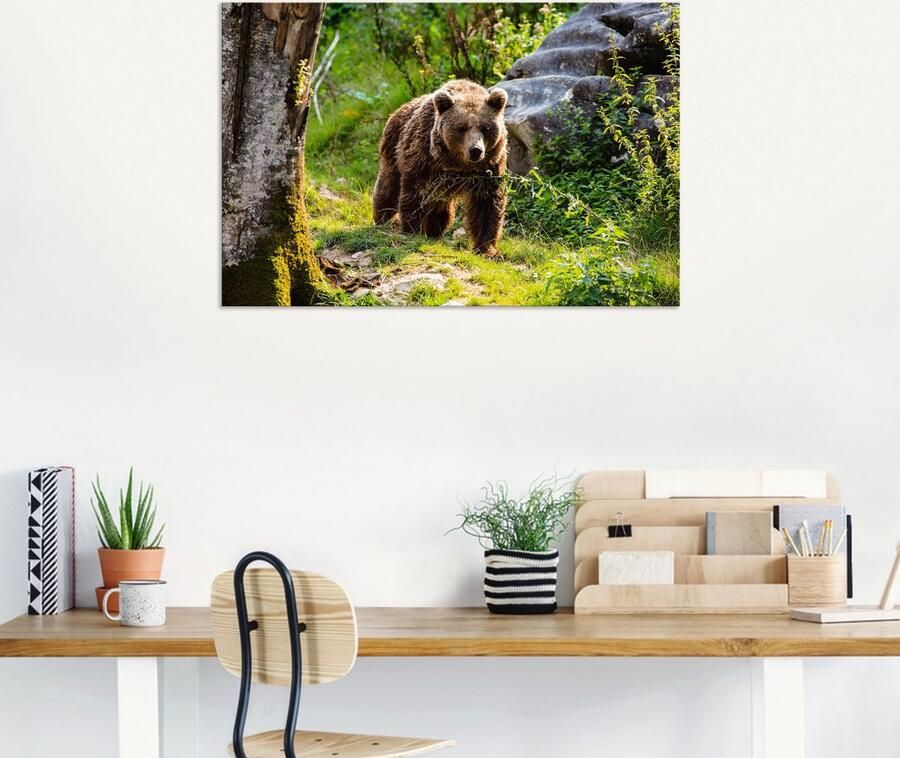 Artland Aluminium dibond print Bruine beer op wandeltocht geschikt voor binnen en buiten buitenafbeelding - Foto 6
