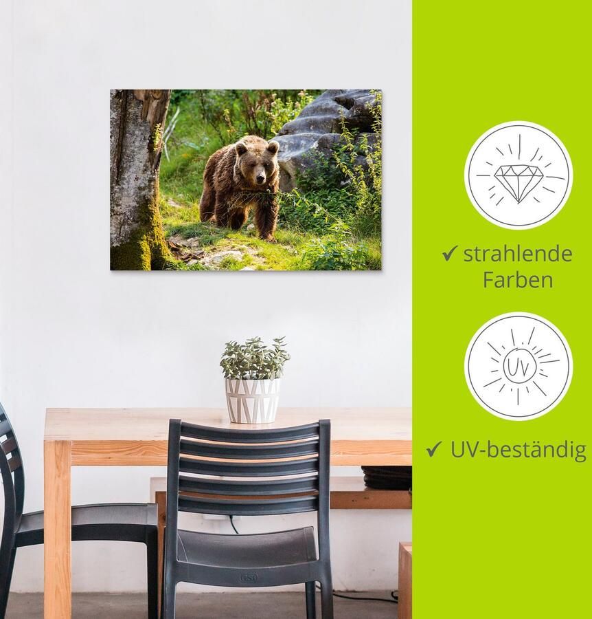 Artland Aluminium dibond print Bruine beer op wandeltocht geschikt voor binnen en buiten buitenafbeelding - Foto 3