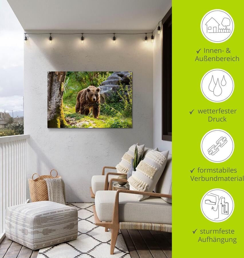 Artland Aluminium dibond print Bruine beer op wandeltocht geschikt voor binnen en buiten buitenafbeelding - Foto 5