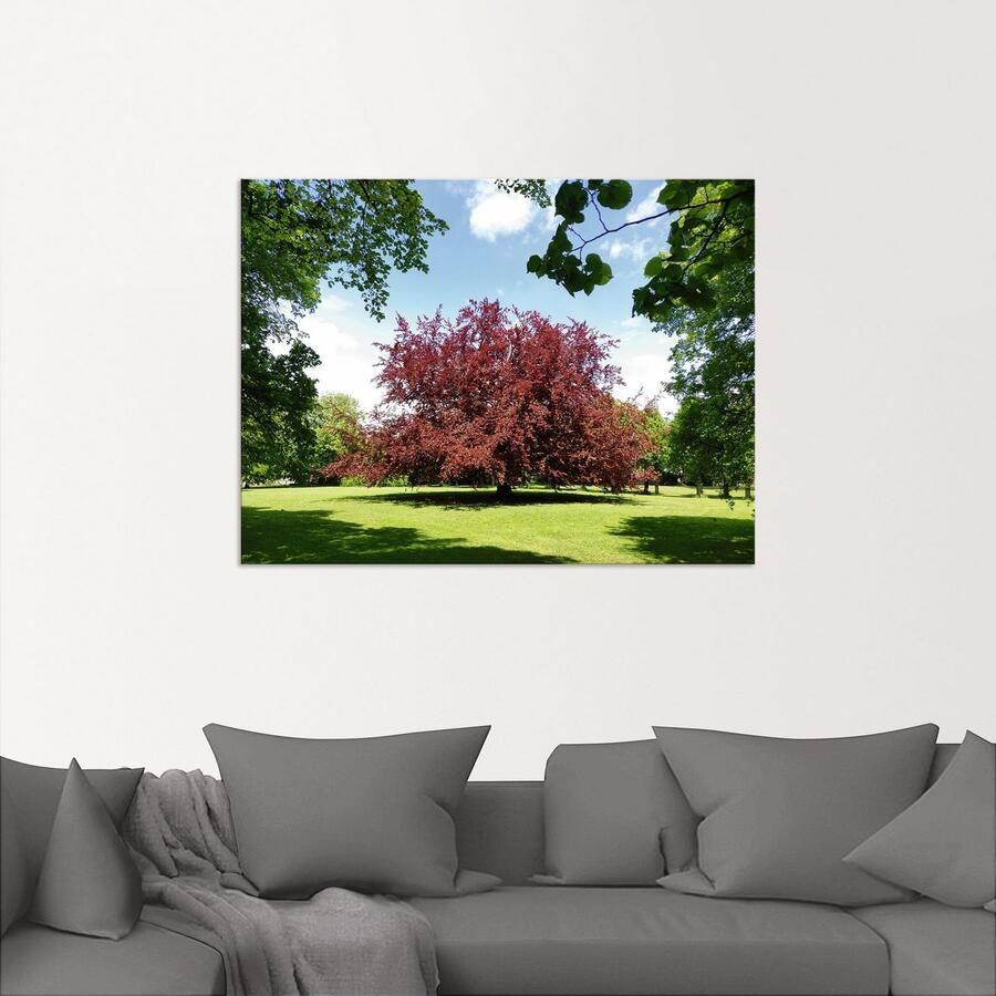 Artland Aluminium dibond print Rode beuk geschikt voor binnen en buiten buitenafbeelding - Foto 2