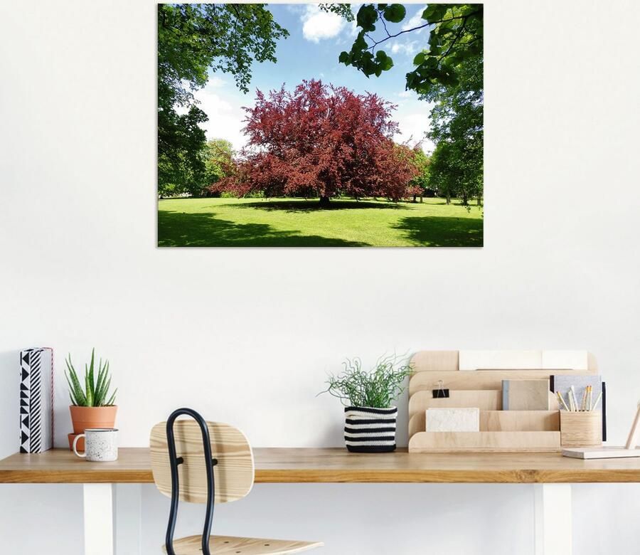 Artland Aluminium dibond print Rode beuk geschikt voor binnen en buiten buitenafbeelding - Foto 5