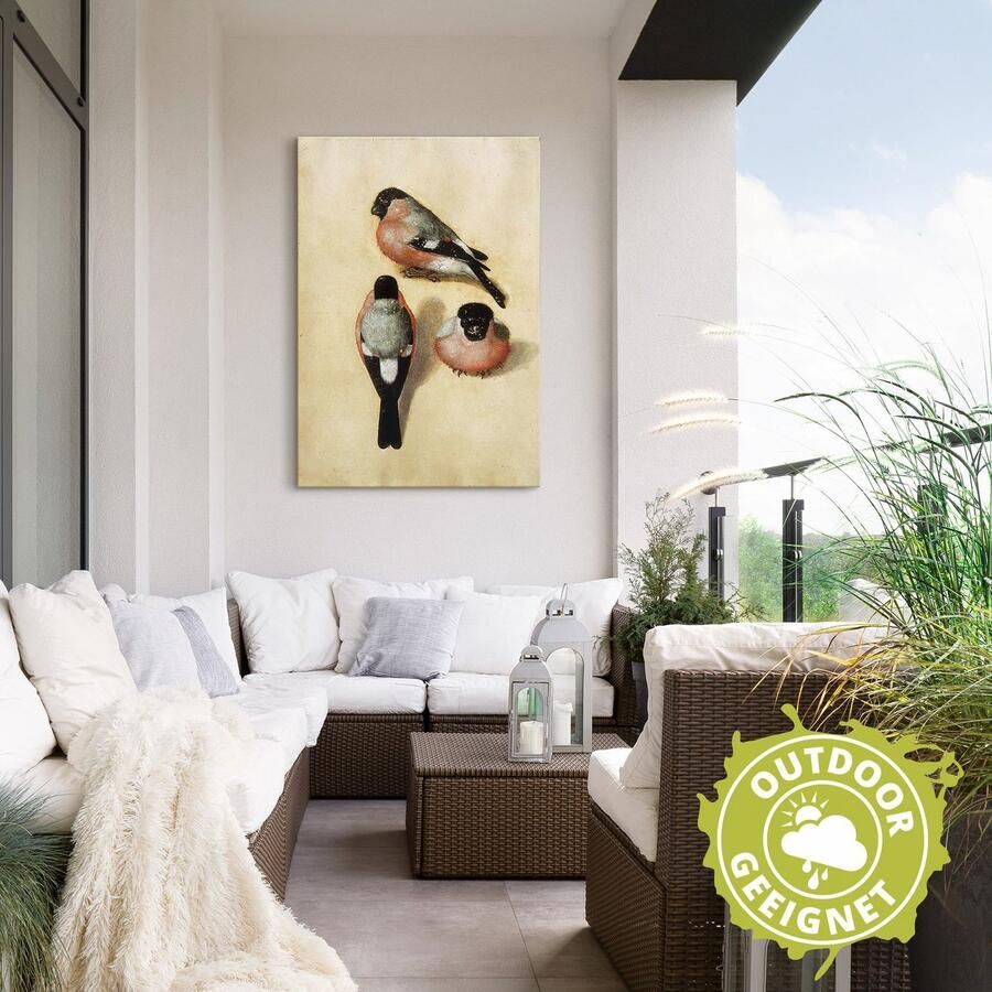 Artland Aluminium dibond print Vogel in drie posities. 1520 geschikt voor binnen en buiten buitenafbeelding - Foto 2