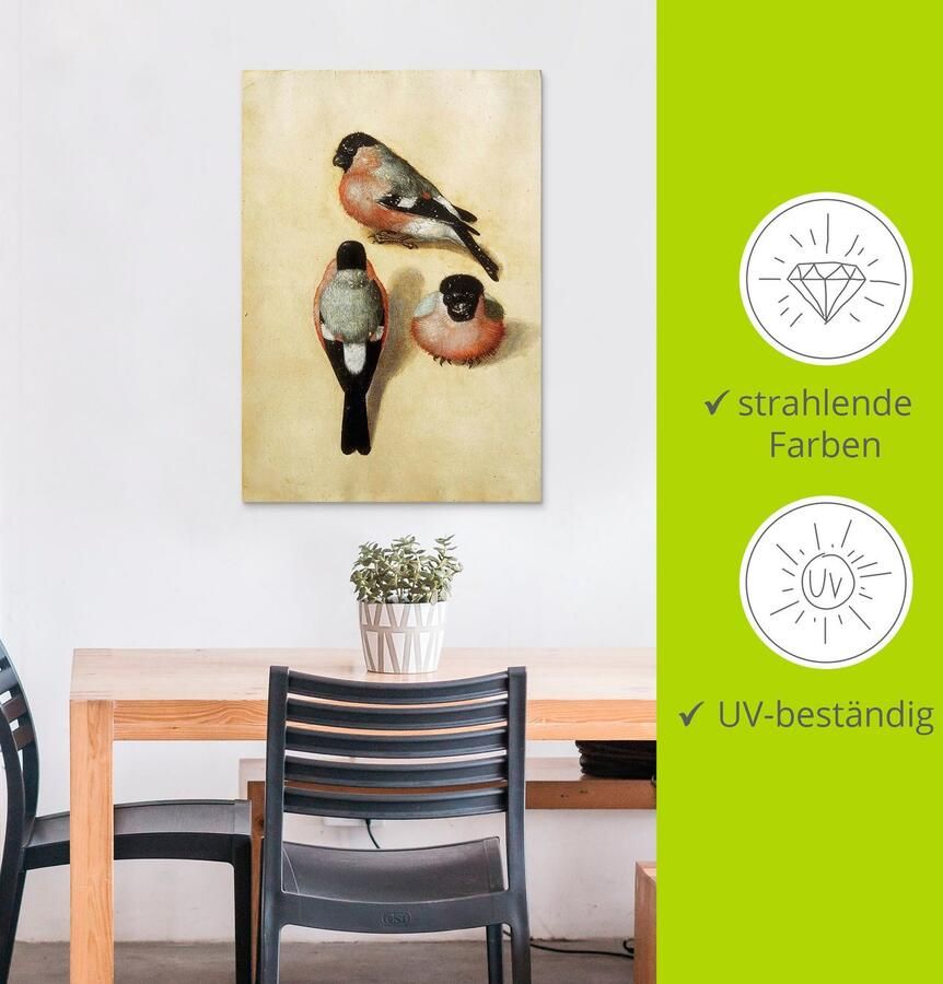 Artland Aluminium dibond print Vogel in drie posities. 1520 geschikt voor binnen en buiten buitenafbeelding - Foto 3