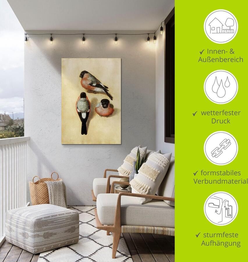 Artland Aluminium dibond print Vogel in drie posities. 1520 geschikt voor binnen en buiten buitenafbeelding - Foto 4