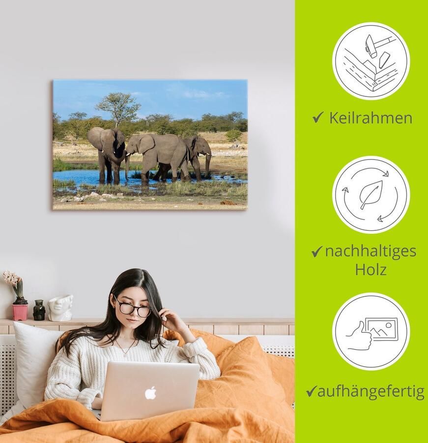 Artland Artprint Afrikaanse olifant EtoshaNationalpark als artprint op linnen muursticker in verschillende maten - Foto 2