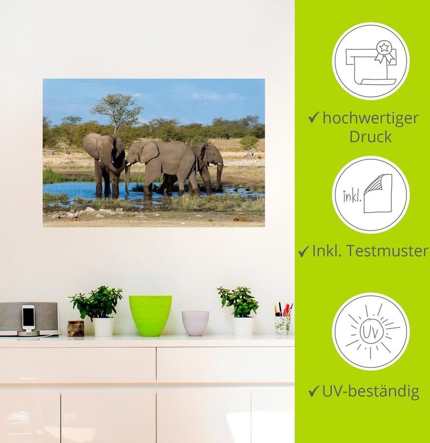 Artland Artprint Afrikaanse olifant EtoshaNationalpark als artprint op linnen muursticker in verschillende maten - Foto 4