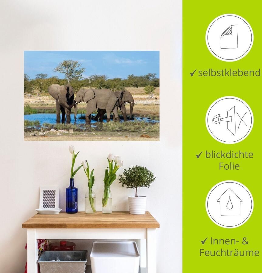 Artland Artprint Afrikaanse olifant EtoshaNationalpark als artprint op linnen muursticker in verschillende maten - Foto 6