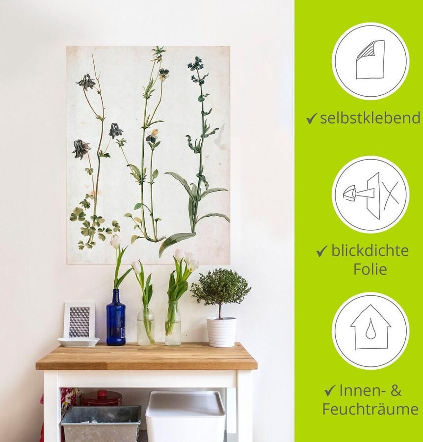 Artland Artprint Akelei viooltjes en ossentong als artprint op linnen muursticker in verschillende maten - Foto 4