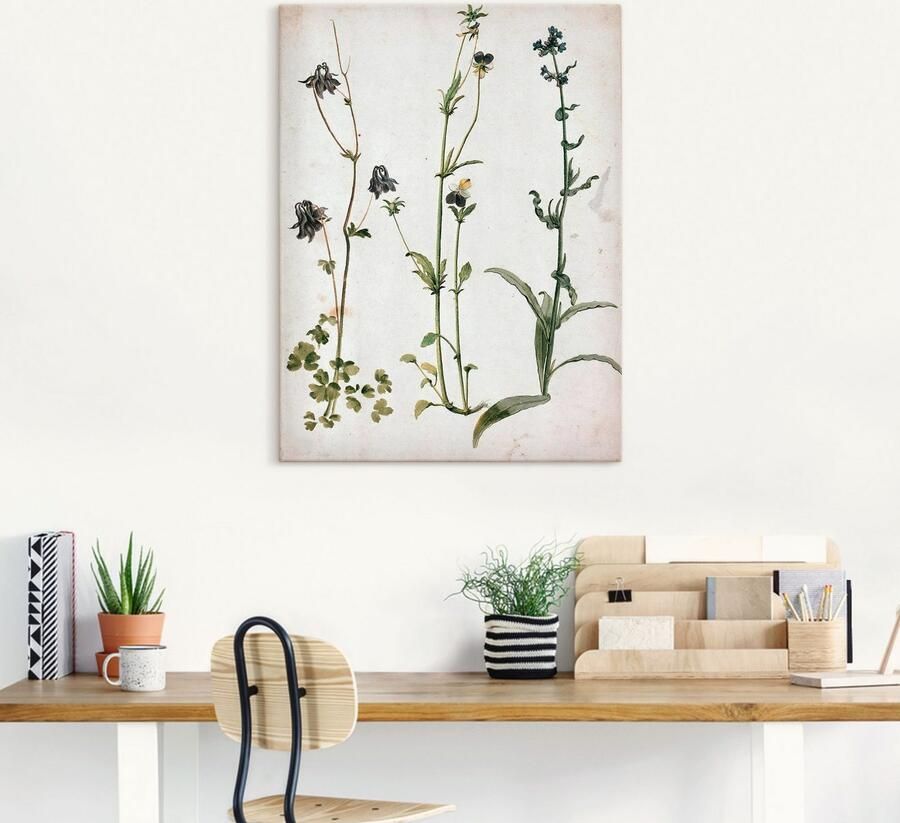 Artland Artprint Akelei viooltjes en ossentong als artprint op linnen muursticker in verschillende maten - Foto 4