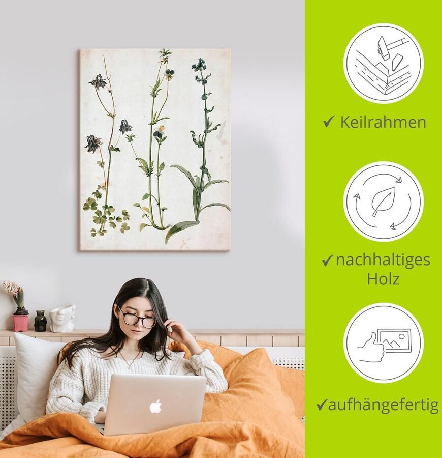 Artland Artprint Akelei viooltjes en ossentong als artprint op linnen muursticker in verschillende maten - Foto 2